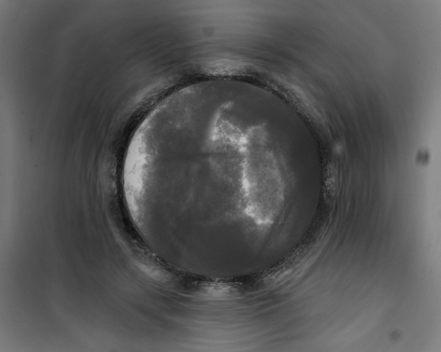 X0000100330547200807031237