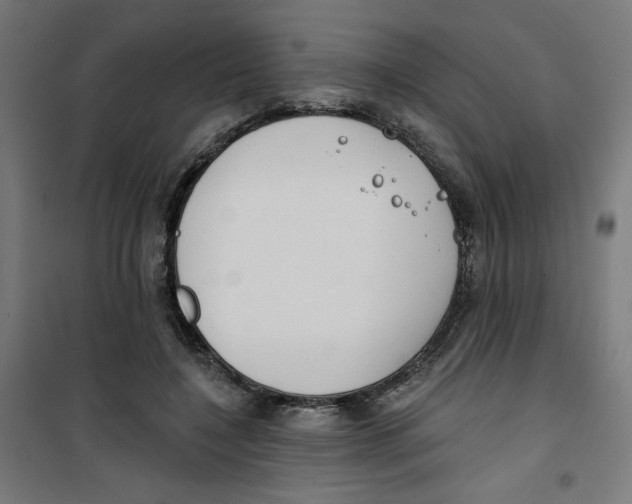 X0000100330548200807031237