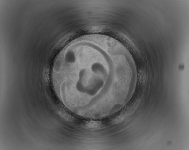 X0000100330549200807031237