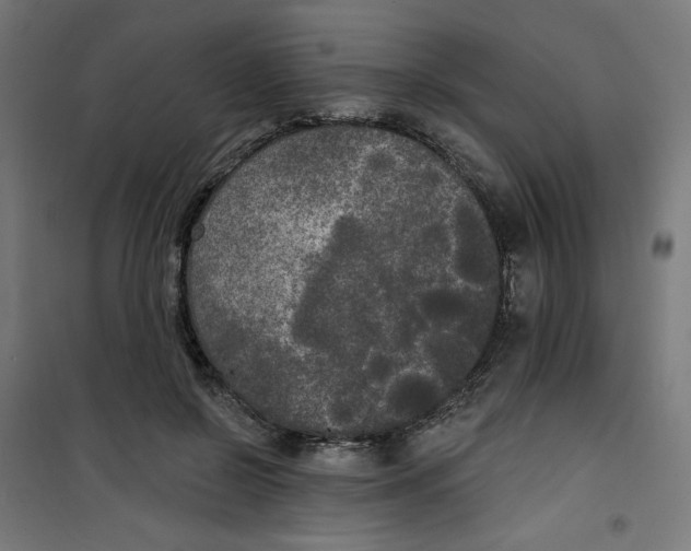 X0000100330550200807031237