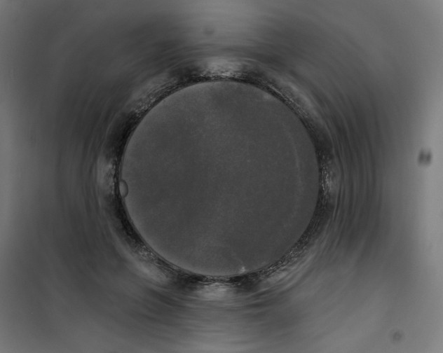 X0000100330551200807031237