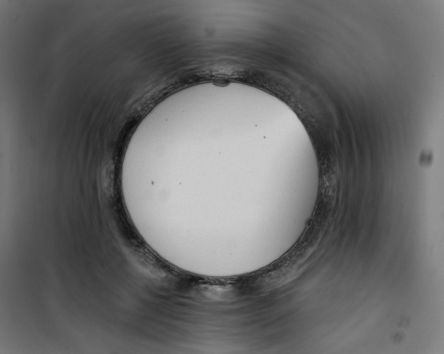 X0000100330552200807031237