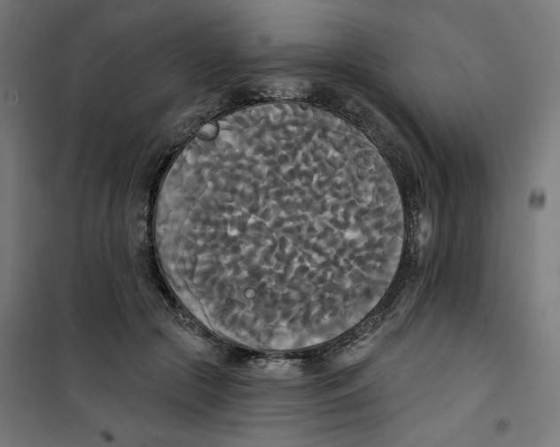 X0000100330553200807031237