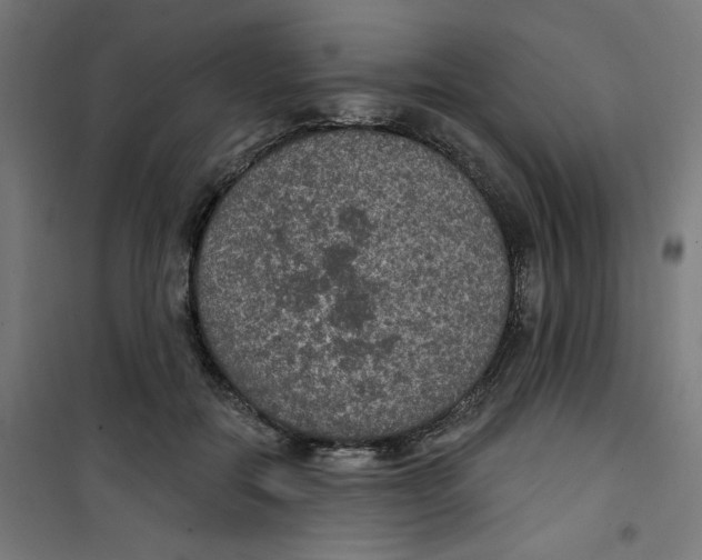 X0000100330554200807031237