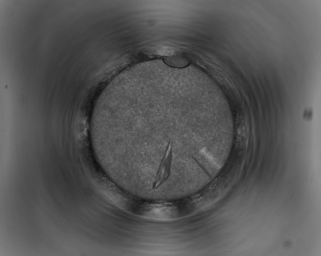 X0000100330555200807031237