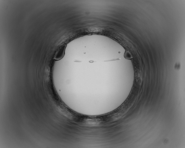 X0000100330556200807031237