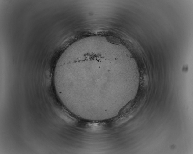 X0000100330558200807031237