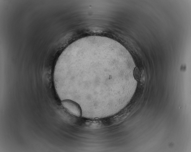 X0000100330559200807031237