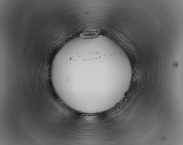 X0000100330560200807031237