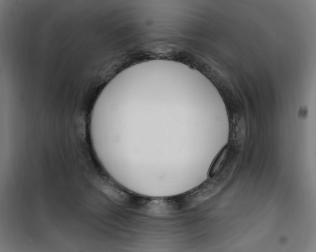 X0000100330562200807031237