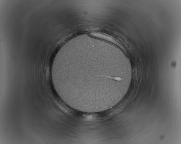 X0000100330564200807031237