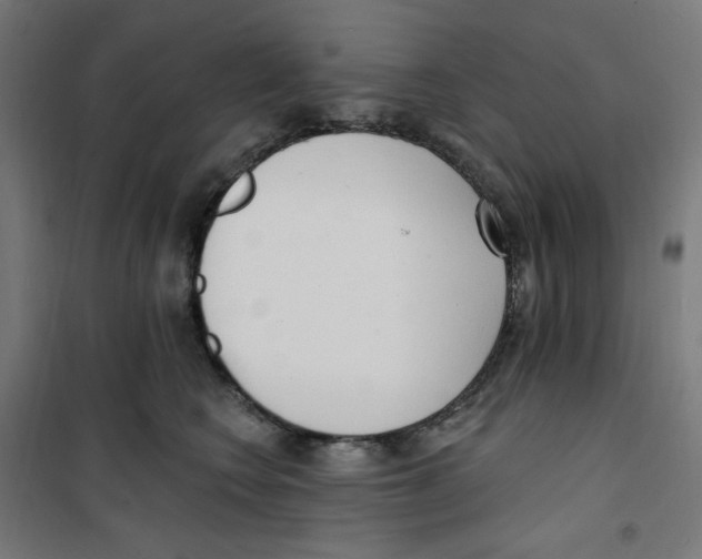 X0000100330566200807031238