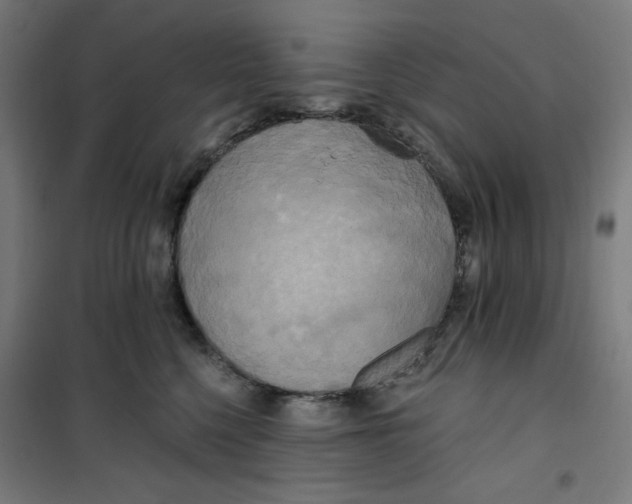 X0000100330568200807031238