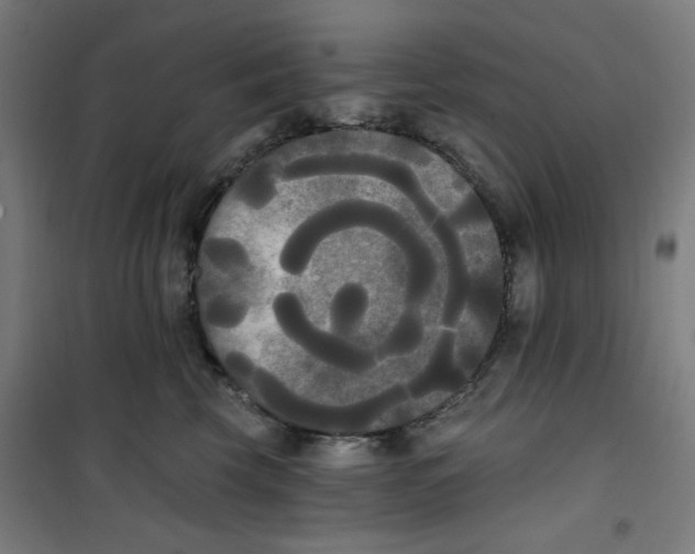 X0000100330569200807031238