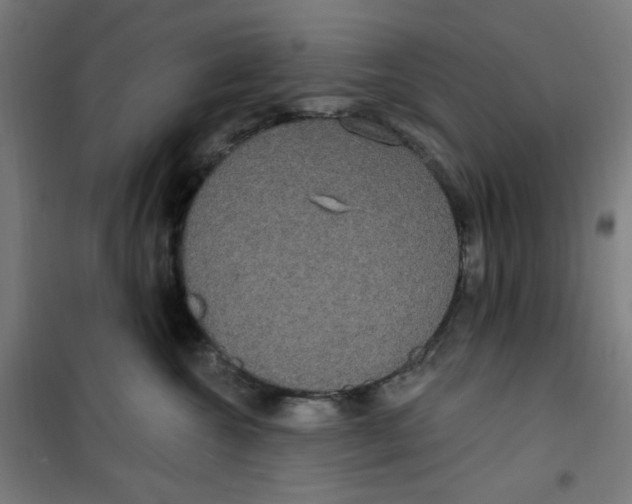 X0000100330572200807031238