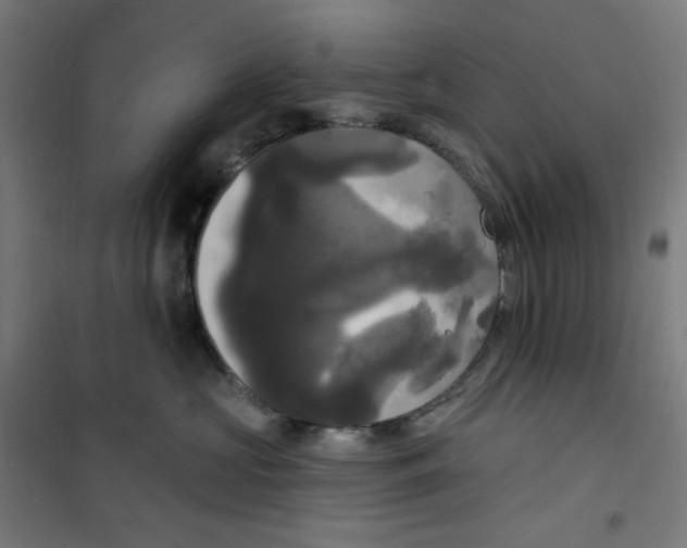 X0000100330573200807031238