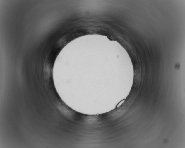 X0000100330574200807031238