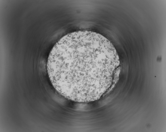 X0000100330575200807031238