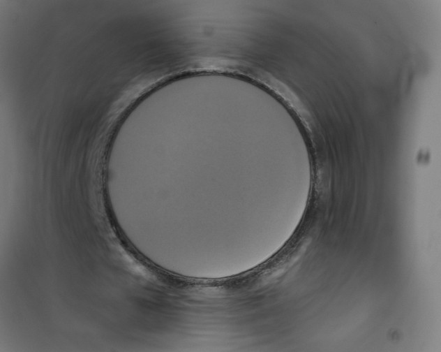 X0000100330577200807031237