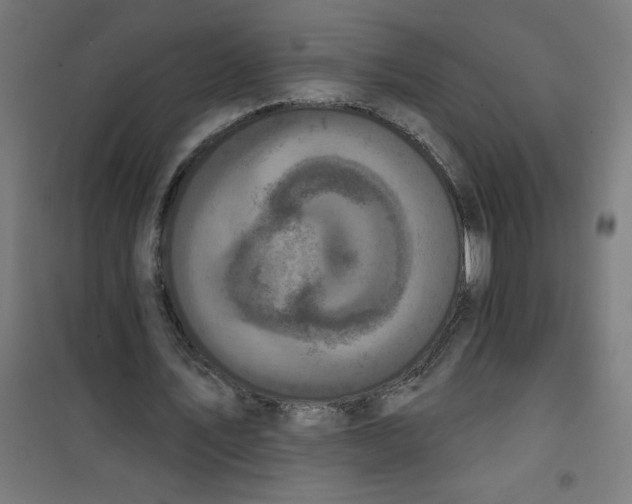 X0000100330579200807031237