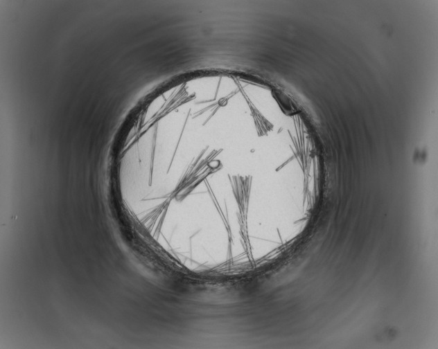 X0000100330580200807031237