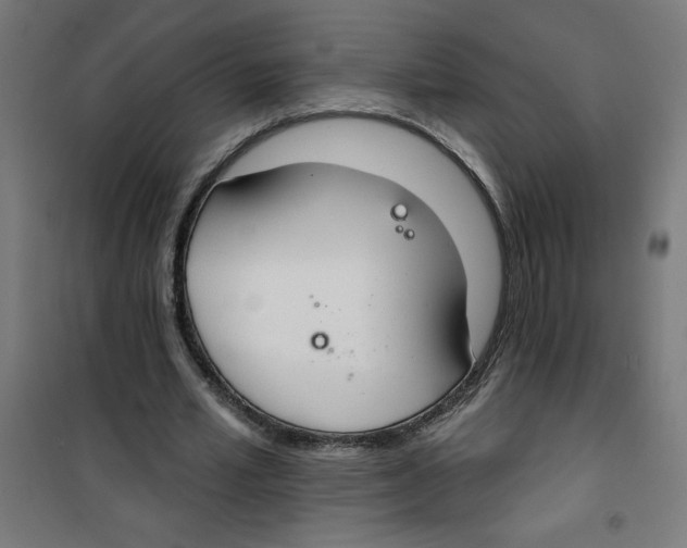 X0000100330581200807031237