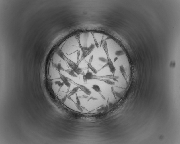 X0000100330582200807031237