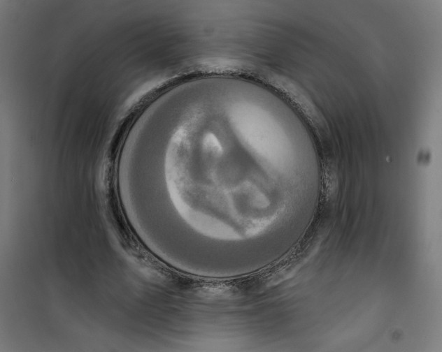 X0000100330583200807031237