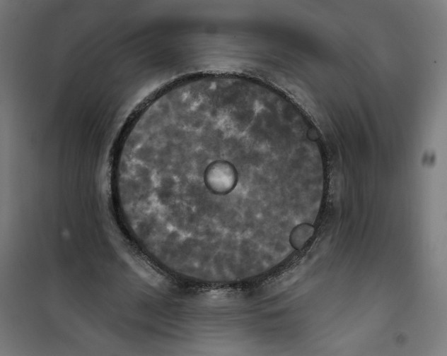 X0000100330584200807031237