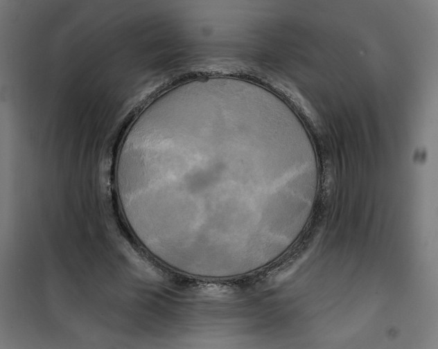 X0000100330585200807031237