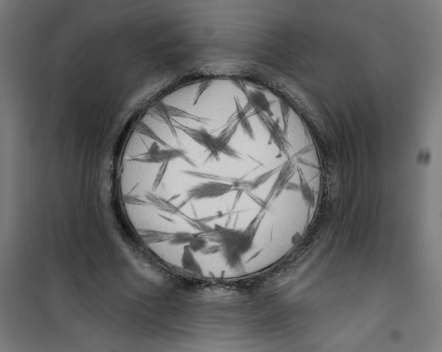 X0000100330586200807031237