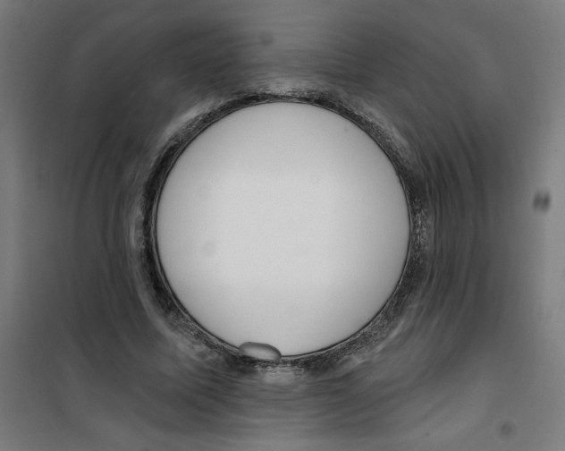 X0000100330587200807031237