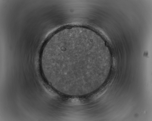 X0000100330588200807031237