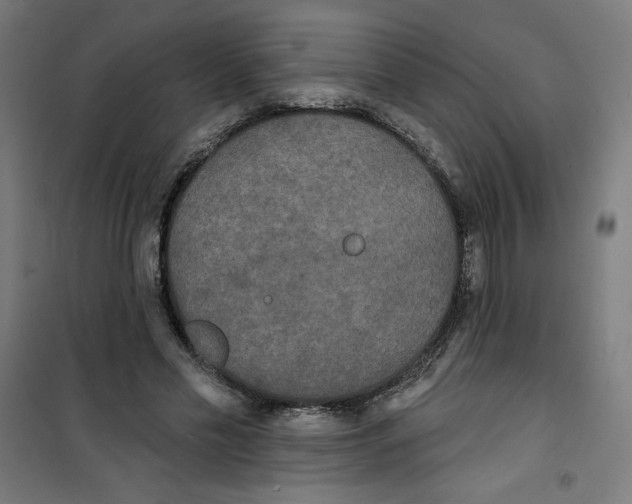 X0000100330589200807031237