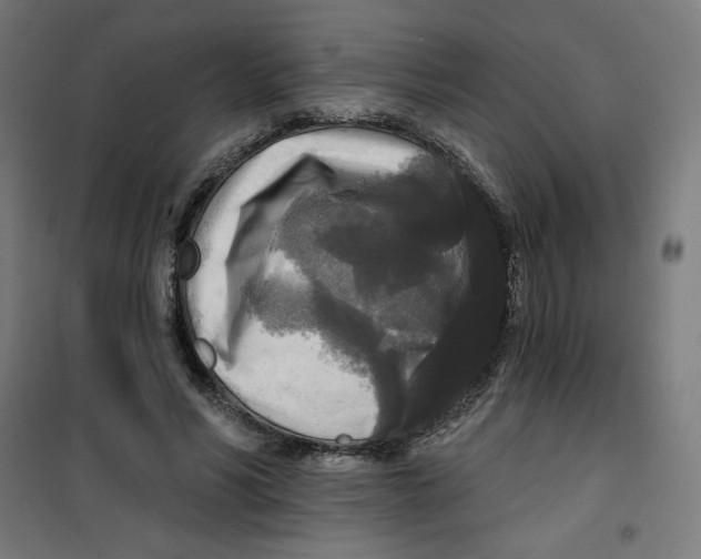 X0000100330590200807031237