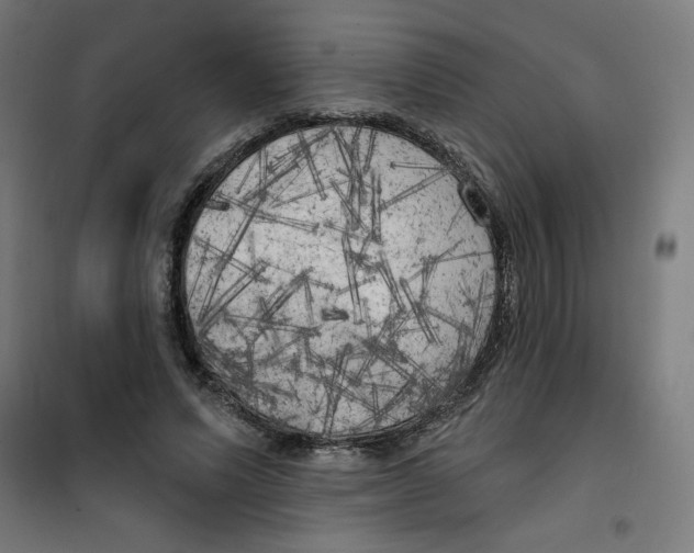 X0000100330591200807031237