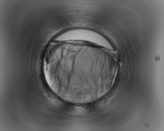 X0000100330592200807031237