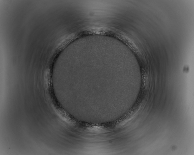 X0000100330594200807031237