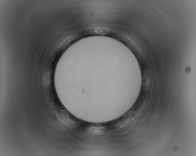 X0000100330595200807031237