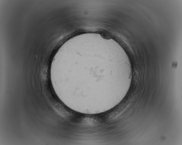 X0000100330596200807031237