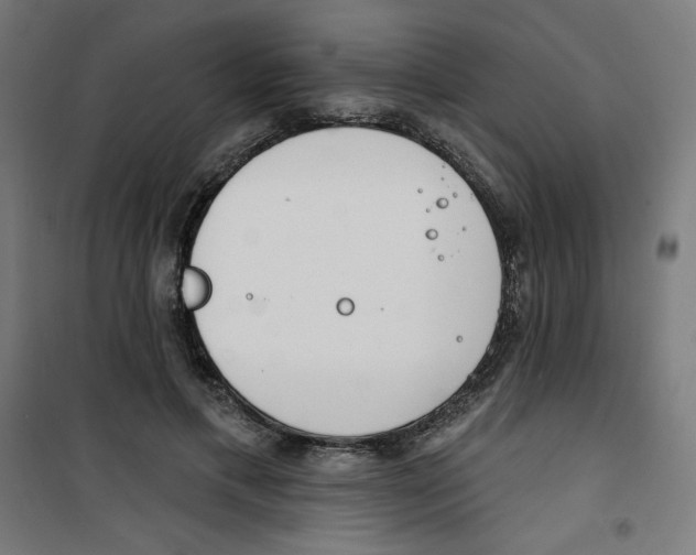 X0000100330597200807031237