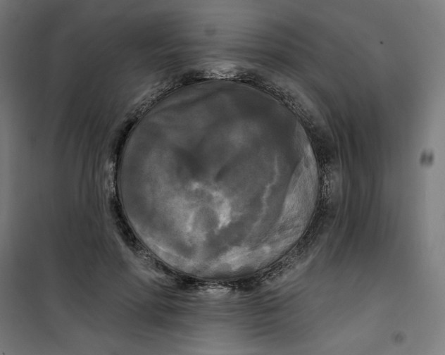 X0000100330598200807031237