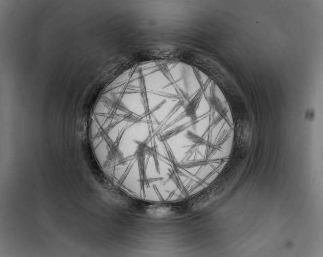 X0000100330602200807031237