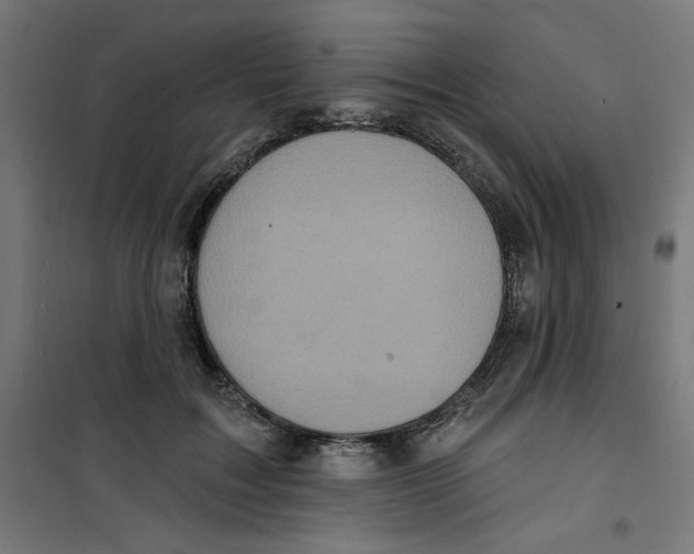 X0000100330603200807031237