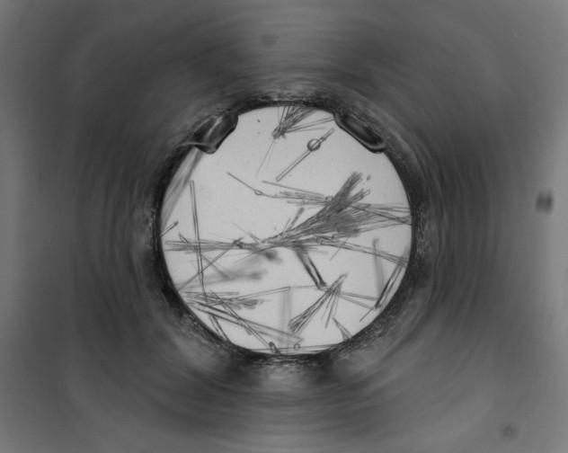 X0000100330604200807031237