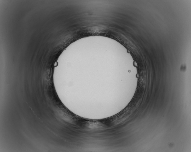 X0000100330605200807031237