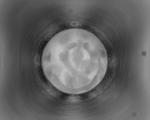 X0000100330606200807031237