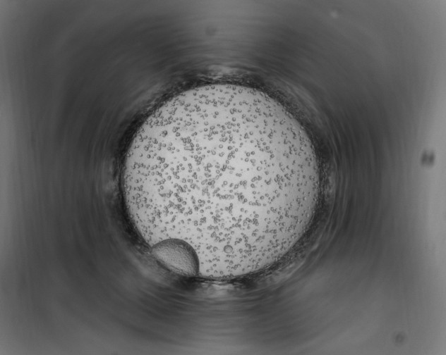 X0000100330607200807031237