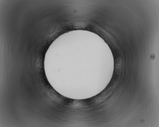 X0000100330608200807031237