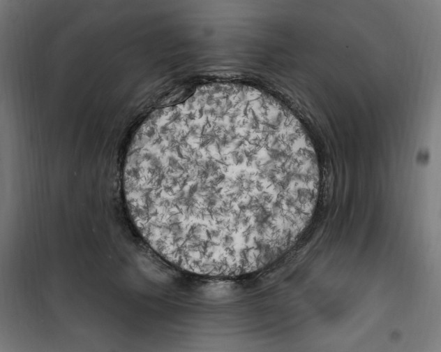 X0000100330609200807031236